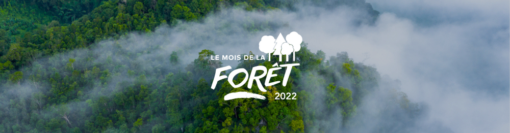 Bannière Mois de la Forêt 2022