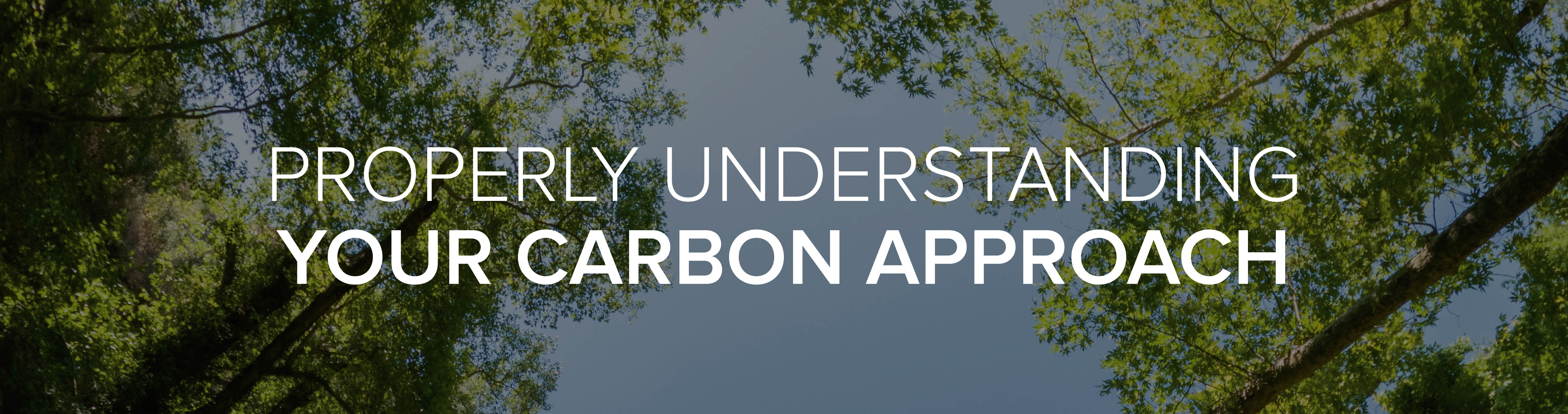 Properly understanding your carbon approach | Reforest'Action