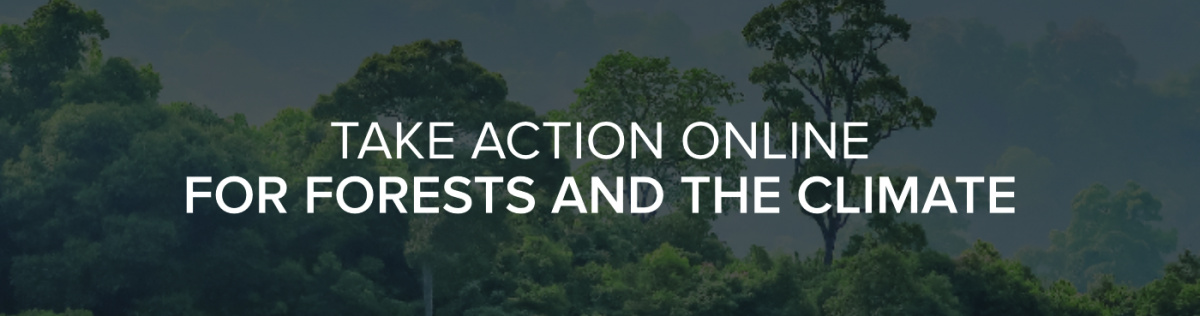 Image : Take actions online for forests and the climate