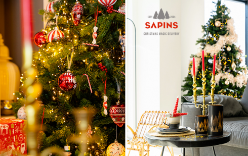 Sapins.be est votre partenaire de Noël.