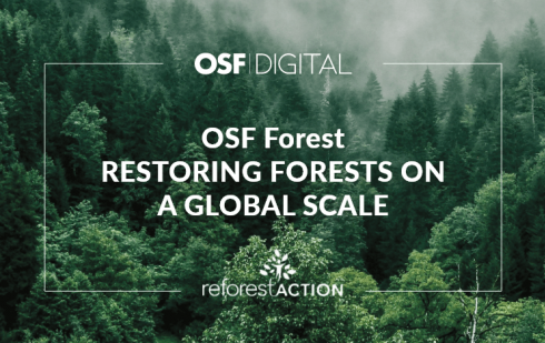 OSF Digital Forest!