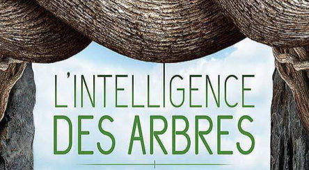 L'Intelligence des arbres, forêts, cinéma, documentaire, débat