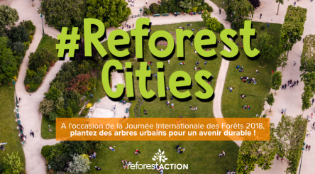 Journée Internationale des Forêts, forêts urbaines, arbres urbains, villes durables
